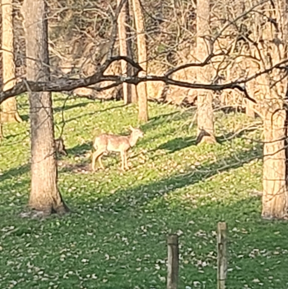 Meet your Posher, Rita - Picture 1 of 1